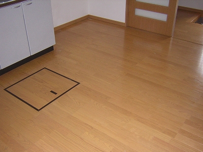 横田邸貸家 その他1