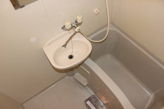 ポム・ド・ピン中央 風呂画像