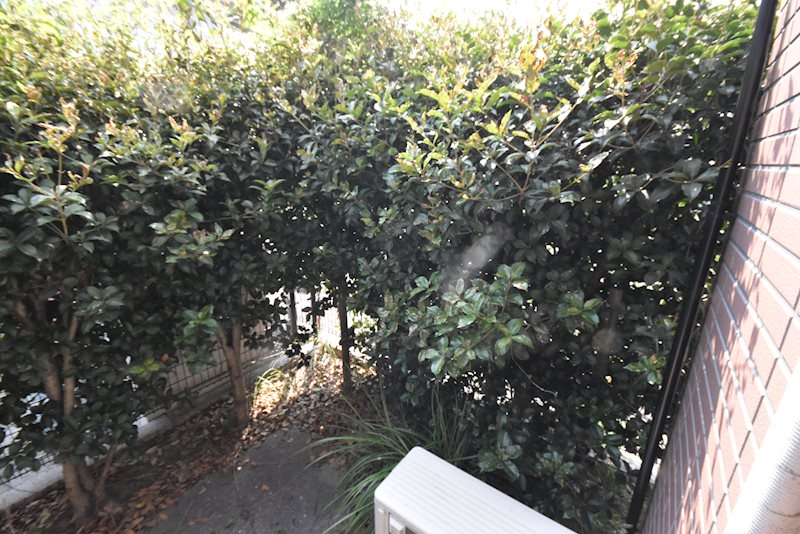 アウローラ ベランダ