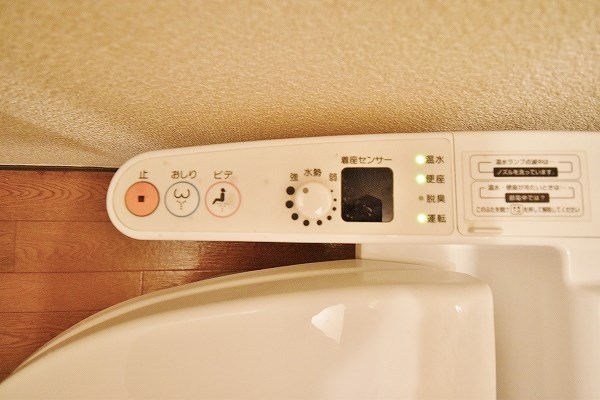 ビブレ江南 その他12