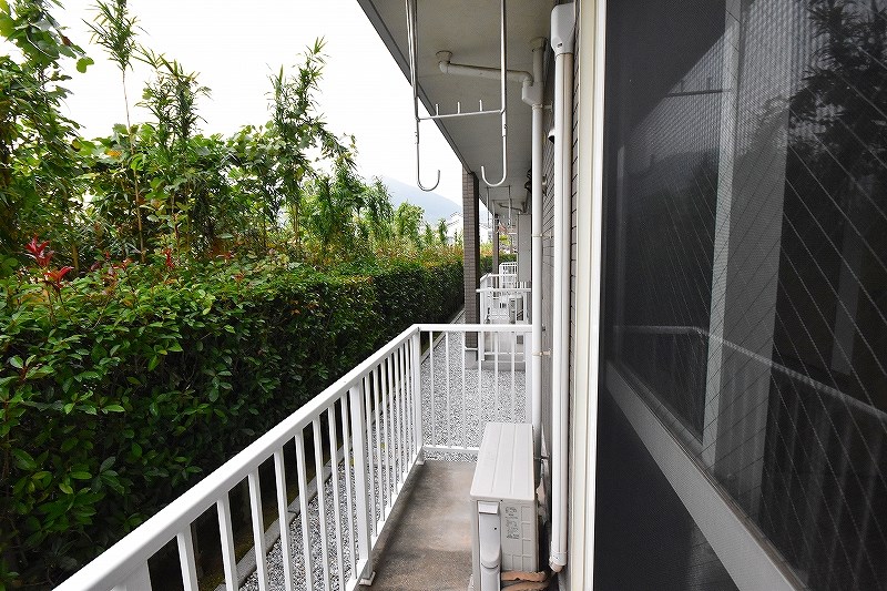 パインヒルズ その他42