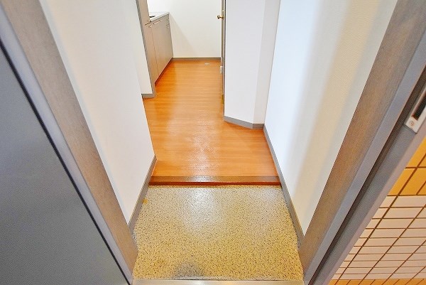 ニューサンリバー６番館 玄関