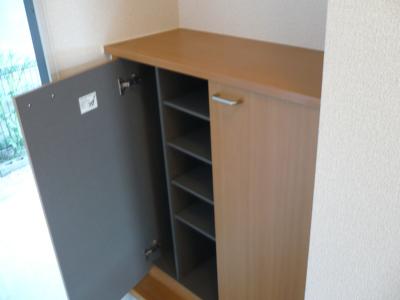スカイハウス 玄関