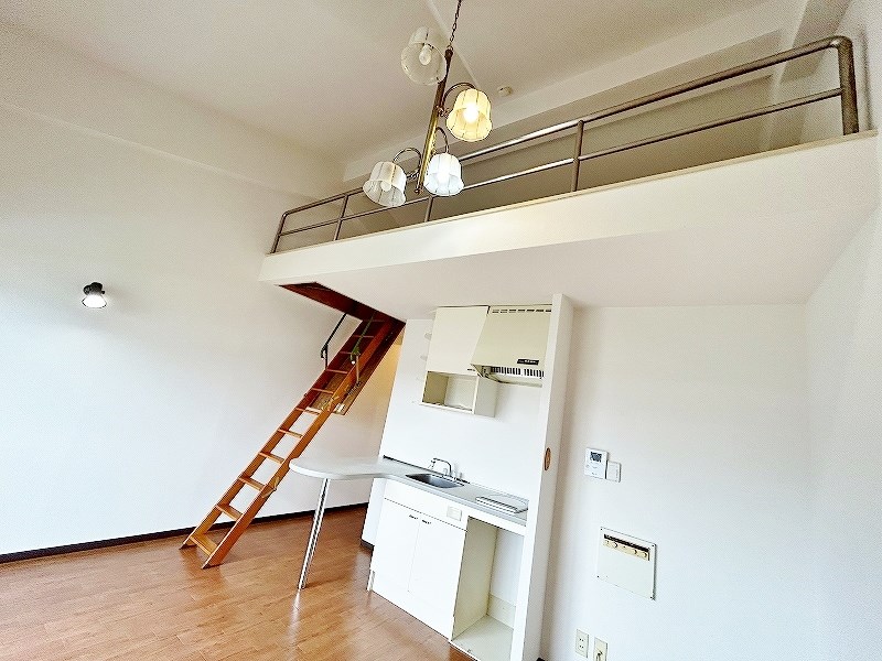 ボナール久 その他26