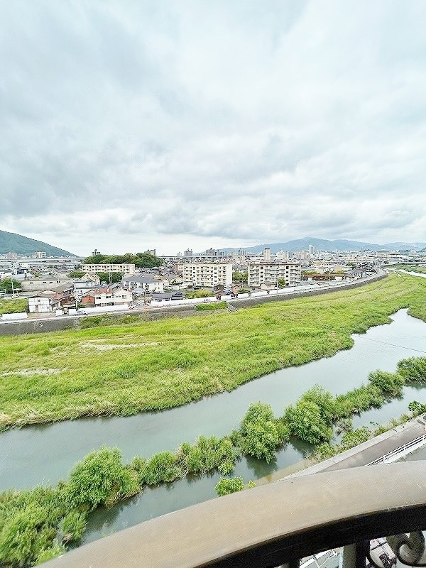 ボナール久 その他29