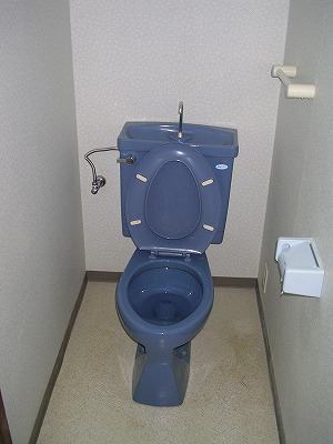 ライオンズマンション深沢 その他1