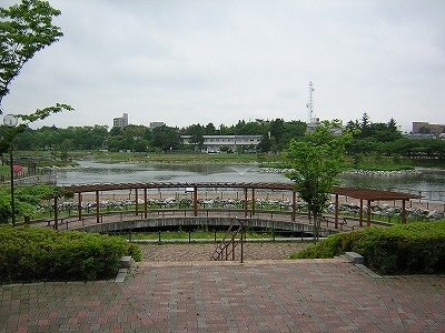 ライオンズマンション深沢 その他5