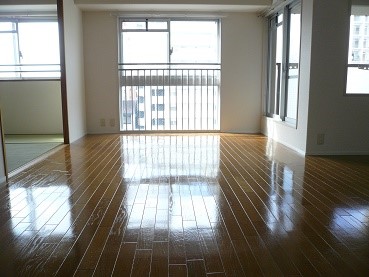 大阪府大阪市西区南堀江３丁目 リビング