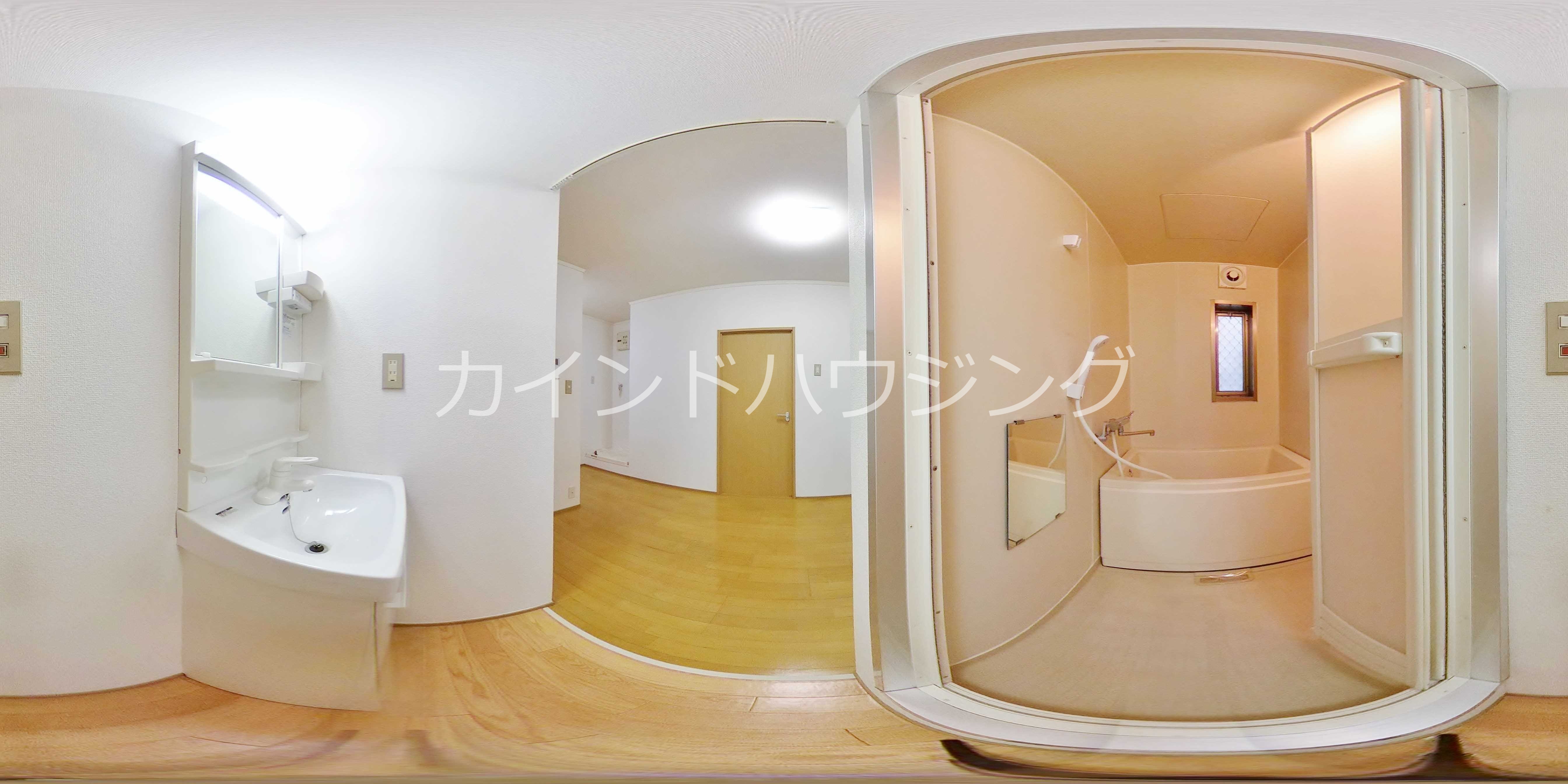 デューク桜井 洗面所