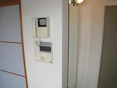 レリディアンスビューマ その他3