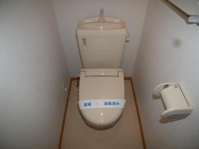 ベルニーニ その他2