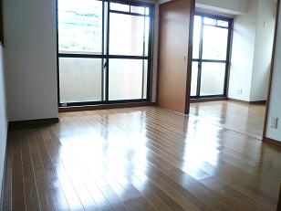 大阪府大阪市西区新町４丁目 リビング