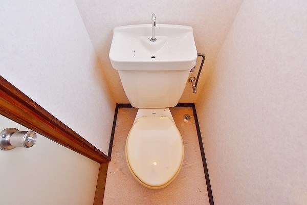 レグルスＮＵＫＩ その他2