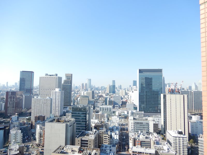 芝浦アイランドグローヴタワー その他10