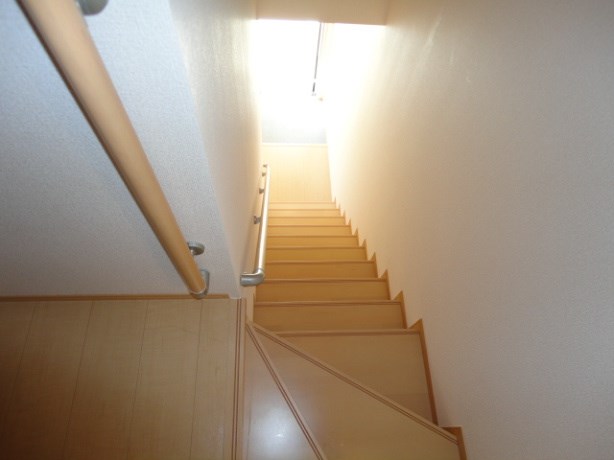 イリマ その他1