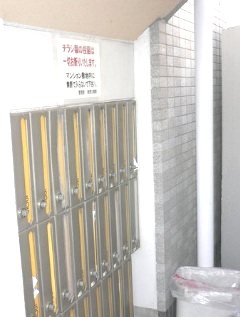 ドール栄５丁目 その他