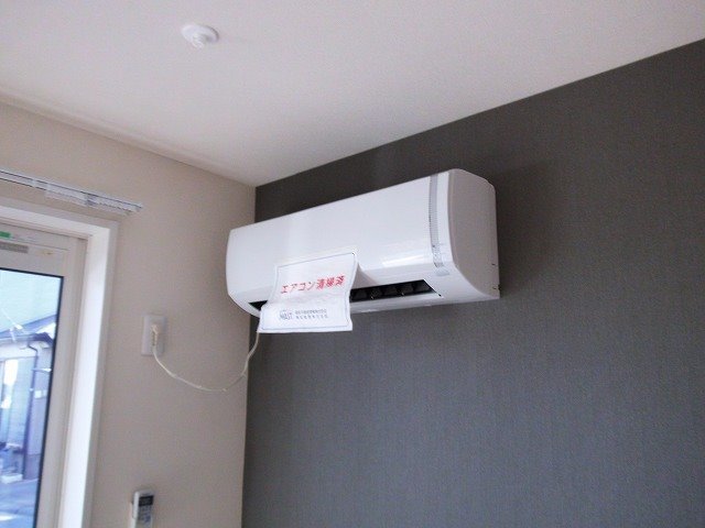 Sun Lavender その他4