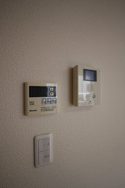 Sun Lavender その他4