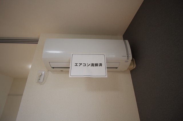 Sun Lavender その他13
