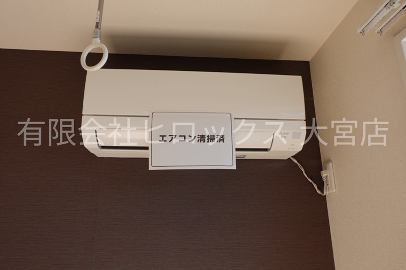 Sun Lavender その他4