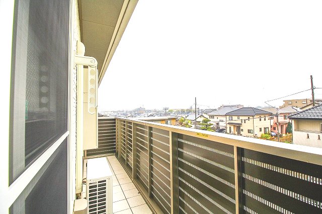 Sun Lavender その他5