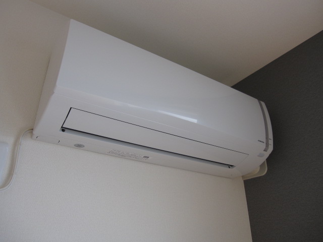 Sun Lavender その他7