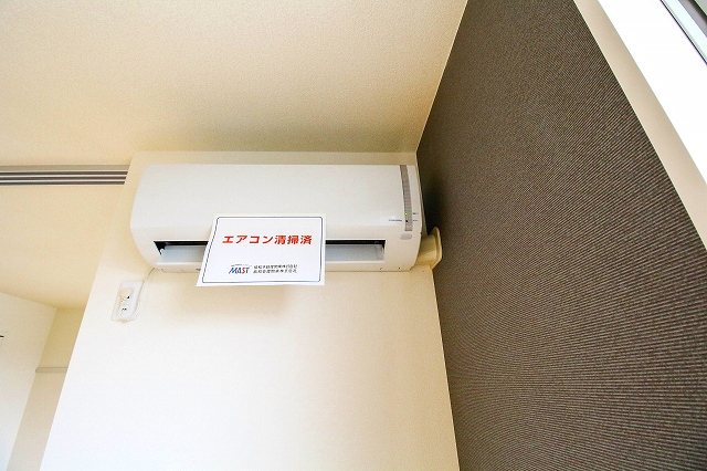 Sun Lavender その他8