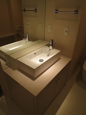 ライオンズマンション三宿 その他2