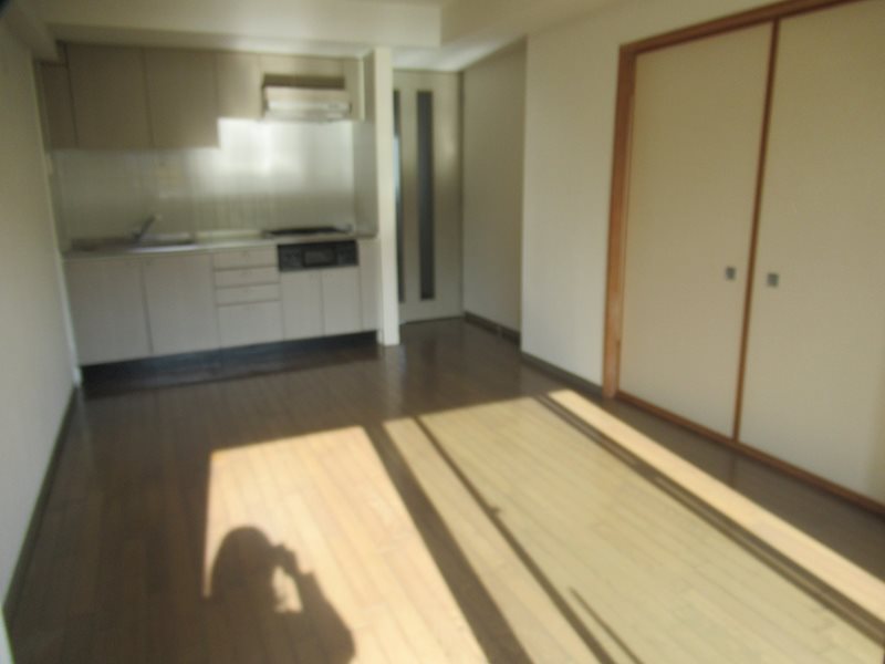 シティレジデンス豊田 リビング