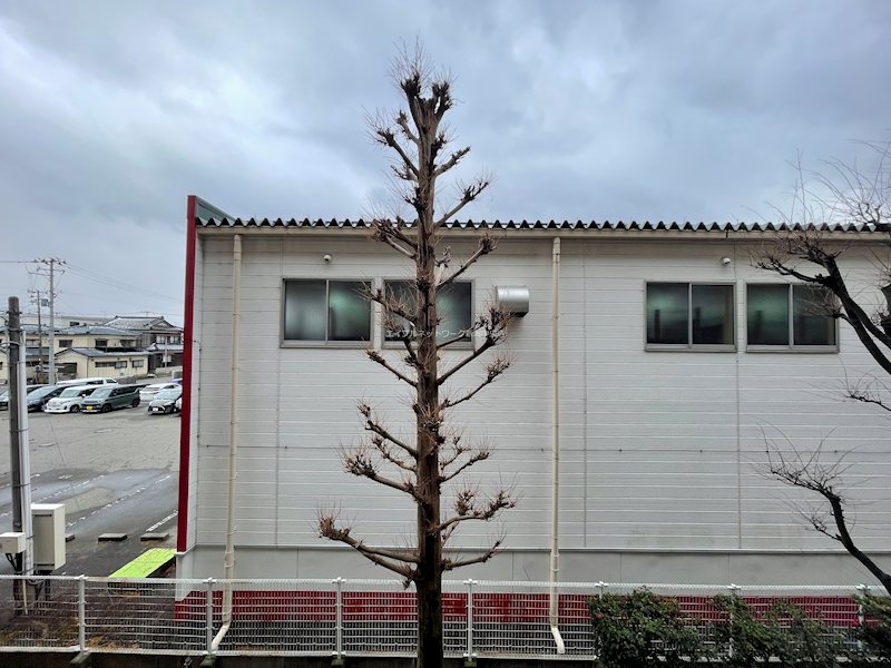 グランディール紫竹山 眺望