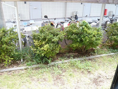 蓮見育英センターD棟 ベランダ