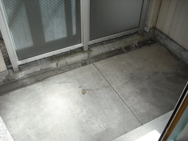 愛知県名古屋市東区筒井２丁目 ベランダ