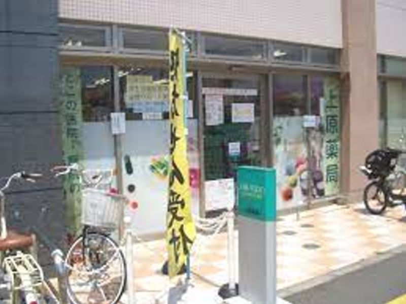 ロイヤルシャトー福島 周辺画像8