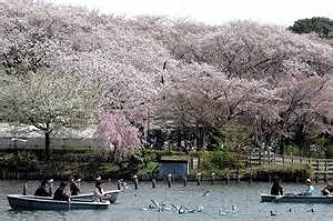 ｱﾏｳﾞｪﾙ洗足 周辺画像5