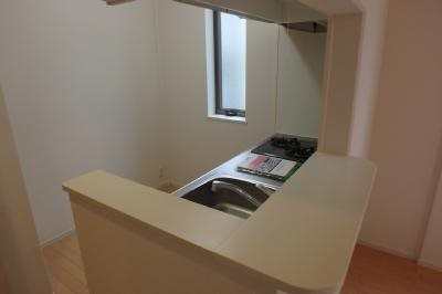 グランドソレイユ キッチン