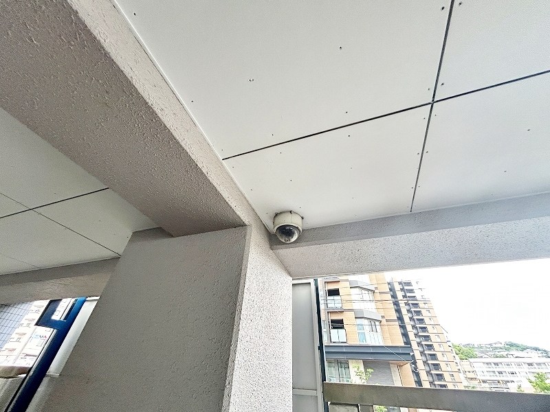 ベルカーサ守恒 その他外観2