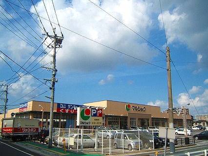 サンシャイン・マリンズ井堀 周辺画像1