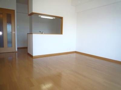 ミラドールＦ その他8