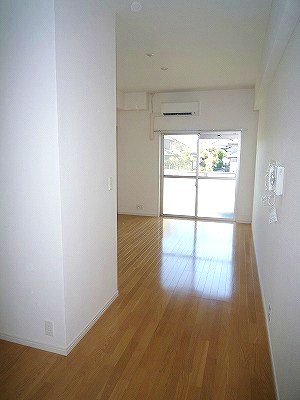 ミラドールＦ その他1