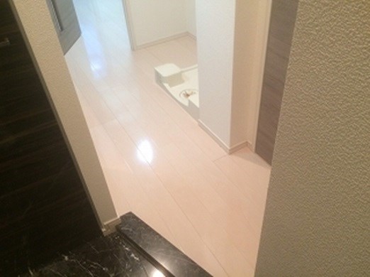 玄関 ヴァレッシア池袋シティ その他12