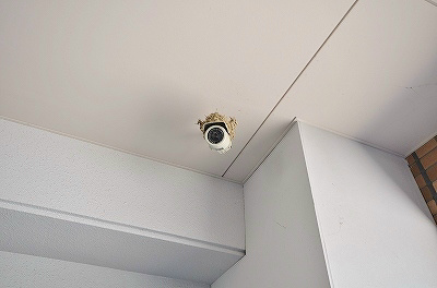 Ariete（アリエーテ） その他24