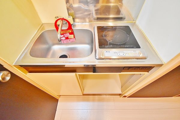 リバーサイドグリーン その他10