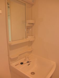 ブライズ高井戸 その他2