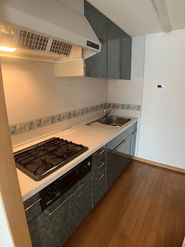 ザ・ミレニアムレジデンス キッチン