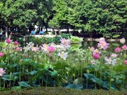 ディアコートTMバウ 周辺画像6