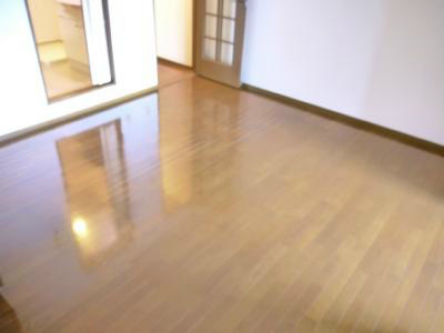 フォンターナ その他