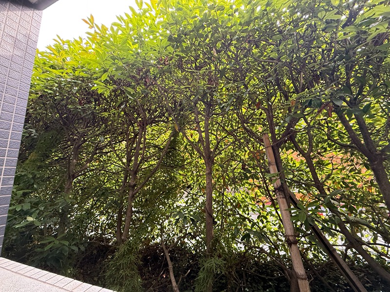 エスティメゾン武蔵小山Ⅱ 眺望