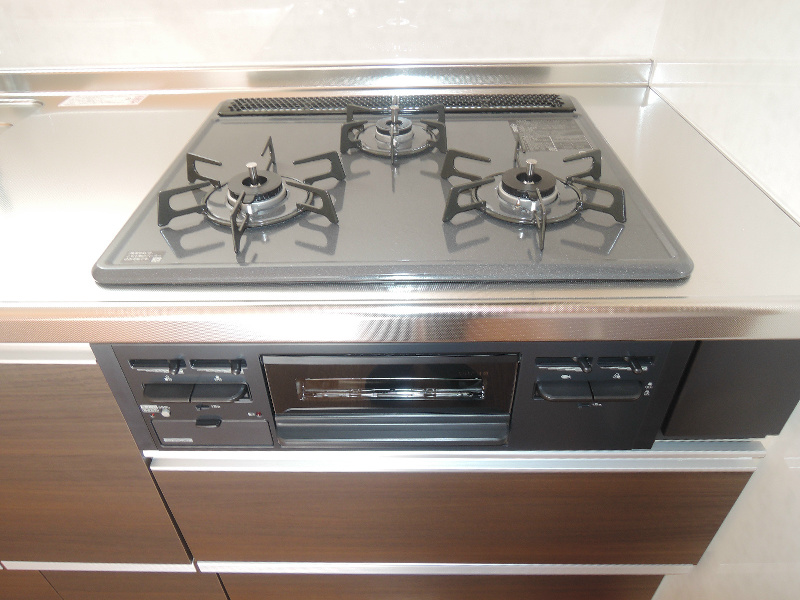 カサフェリスⅢ その他8