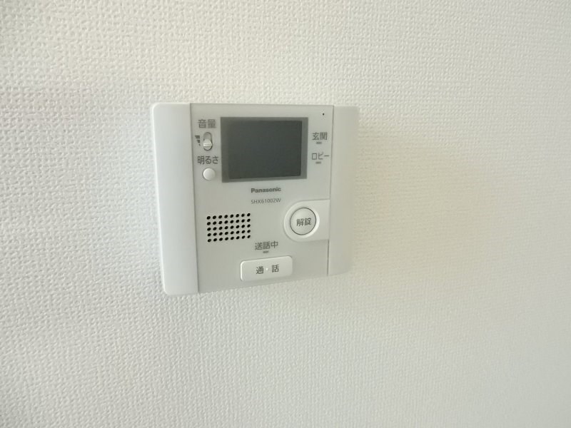 カリーナ その他4