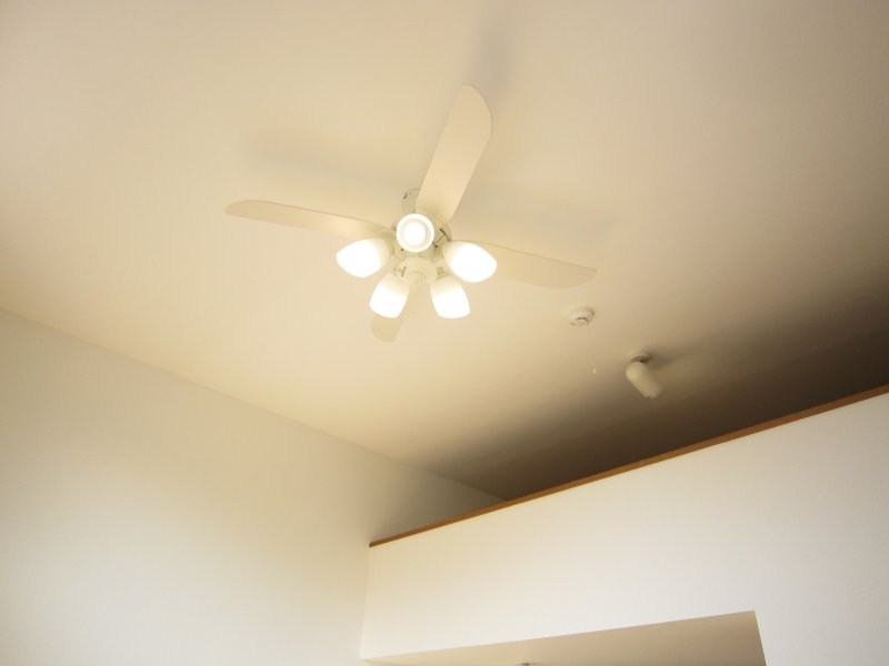 カリーナ その他7